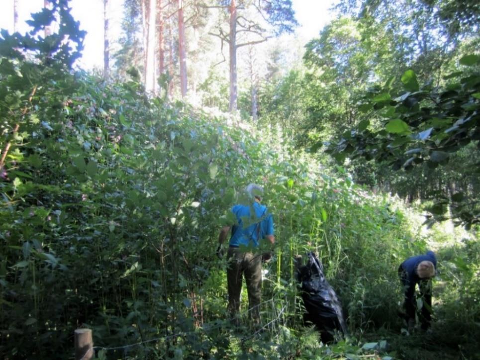 yhteishankkeesta. Köyliönjärven maisema-aluetta ajatellen ainakin yhteistyö Kauhajoen Hyypänjokilaakson kanssa voisi olla tulevaisuudessa luontevaa.