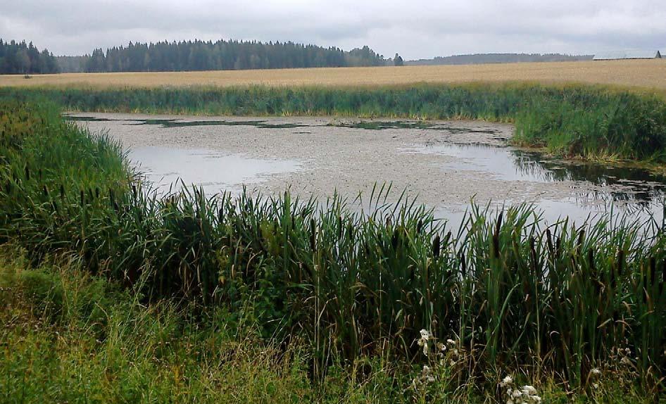 tä, sillä perustamisen jälkeen prosessien käynnistyminen vie aikaa. Joskus toiminta käynnistyy nopeasti perustamisen jälkeen. Fosforin vähentäminen pelto- ja salaojavalunnasta on haasteellista.