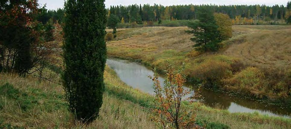 RIIHIKOSKI Halki viljelymaiseman Riihikoski, Pöytyä Riihikoskella Pöytyän keskustaajaman tuntumassa Aurajoki virtaa keskellä vahvasti viljeltyä seutua.