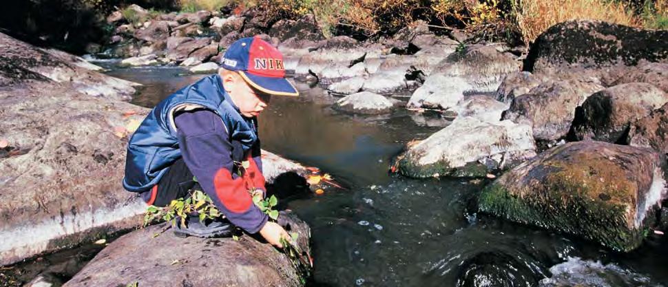 Maaseutuluontoon tuovat vaihtelua pellon ja metsän puoliavoimet reunat ja puuryhmät, joista monet eläimet hakevat suojaa. Pellonpientareet ovat ketokasvien reservaatteja.