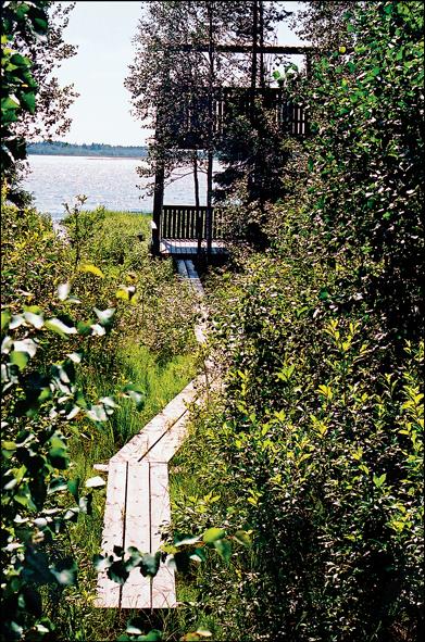 Lintutornin runko on rakennettu vanhoista puhelinpylväistä ja torni on perustettu puhelinpylväsarinan päälle. Lattiataso on noin neljän metrin korkeudessa ja näkyvyys järvelle on hyvä.