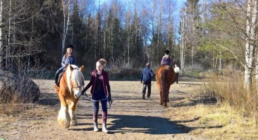 Innokkaita ratsastajanalkuja oli valittu kuljettamaan rauhallinen suomenhevonen Simo, komea jyllaninhevonen Väiski, sekä varmajalkainen risteytysponi Linda.