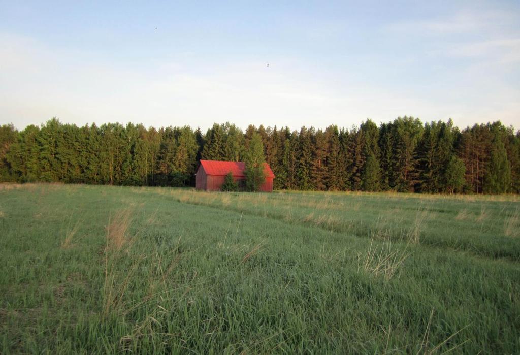 Tausalla Paraiisinmäi. Kuva.