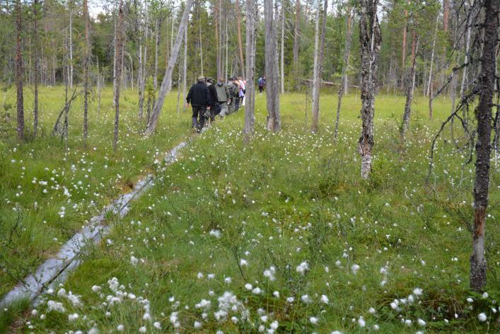 Matkailijaryhmä kokoontui Vanhalle Asemalle, jossa lounaan aikana ryhmänvetäjät kertoivat