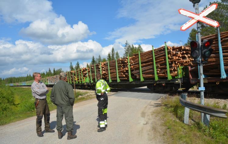 Matkailijaryhmän matkaa hidasti Hallantiellä Pihkalan kohdalla tasoristeykseen juuttunut