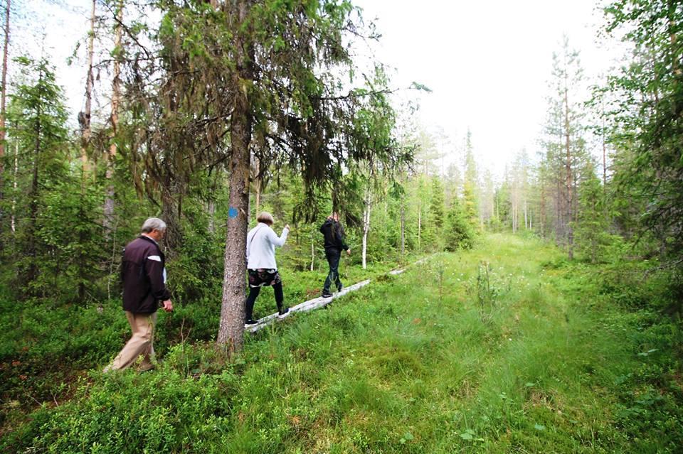 Otso Heikkinen opasti ryhmän Hyrynsalmen