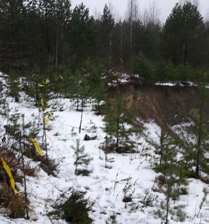 7 f) kuvataan ja merkitään ottamisalue maastoon o viereisessä kuvassa 1 on merkitty maastoon ottamisalueen jyrkkää luiskaa lippusiimalla.