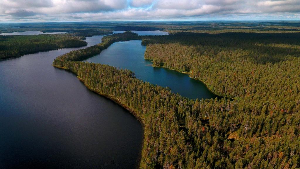 Kansallispuistot voivat lisätä matkailualueen