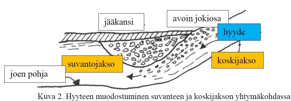 Jääpadon syntymekanismi Joessa virtapaikat ja kosket eivät jäädy joka vuosi kovimmillakaan pakkasilla.