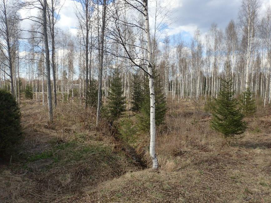 9 Alatien länsipuolelle
