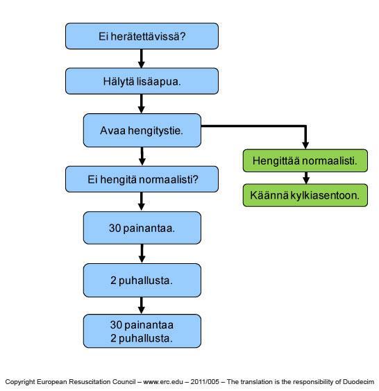 KUVIO 1. Elvytysprotokolla. (Käypä hoito-suositus 2010a, viitattu 1.4.2015.