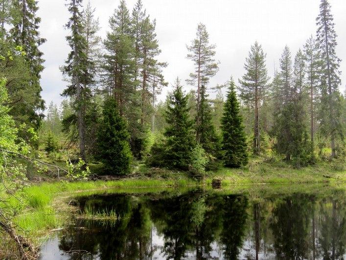 9 Kuva 10. Kortteli 7 kuvattu vastarannalta etelään.