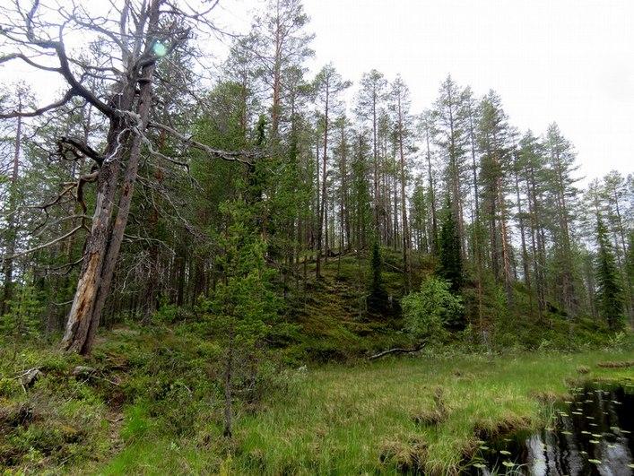 10 Kuva 13. Kortteli 10 kuvattu rannalta länteen.