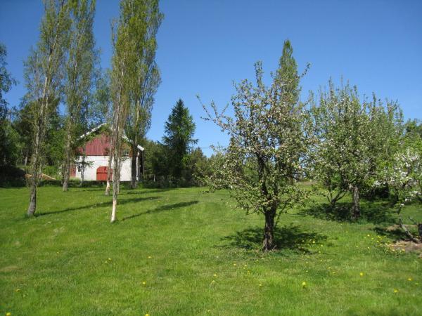 Varsinais-Suomen maakuntamuseo,