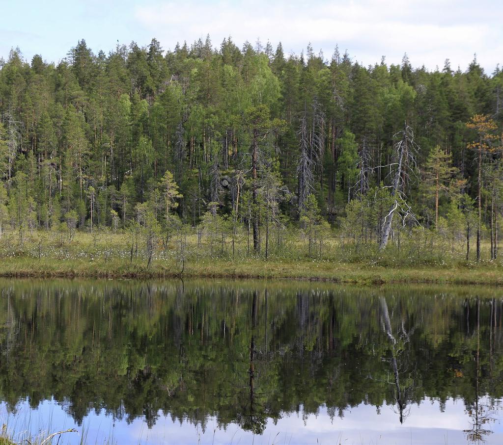 SUOMEN YMPÄRISTÖ 5 2017 Ekologisen kompensaation määrittämisen tärkeät operatiiviset päätökset