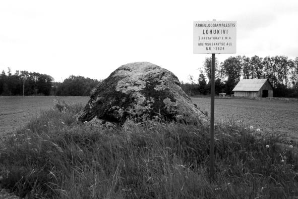 Suur-Kambja küla Lehola talu hoonetest umbes 50 meetri kaugusel loode suunas asetseb põllul suur rändrahn (joonis 3). 1988.