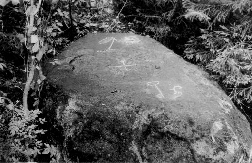 Joonis 6. Oe Kuradikivi üldvaade. Foto: E. Ernits 1991.