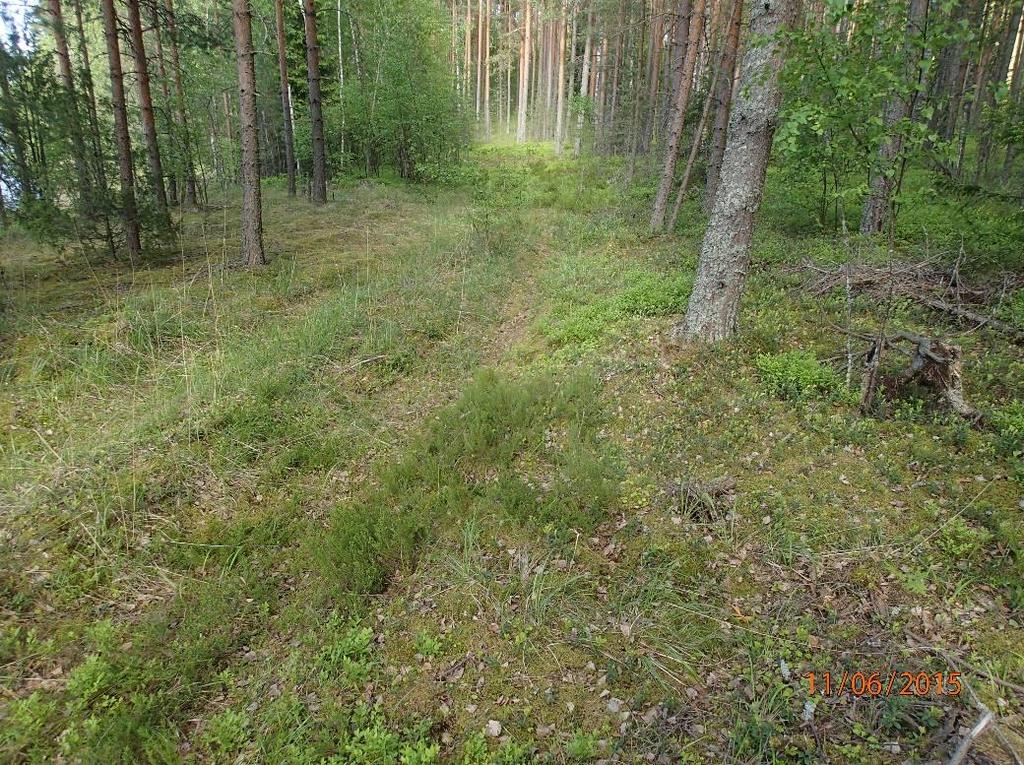 20 Veranhiekan asuinpaikka-aluetta kuvattuna lännestä. 8 RUOKOLAHTI HUUSNIEMI 1 Mjtunnus: 173010019 Rauh.