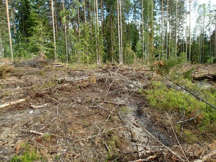 21 Vaikutus kaavaan: alueelle ei kaavaluonnoksessa ole merkitty lisärakentamista, joten ei