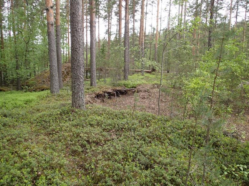 26 Varhaismetallikautista asuinpaikkaa. Kuvattu luoteeseen 12 RUOKOLAHTI MIETINSAARI Mjtunnus: 173010001 Rauh.