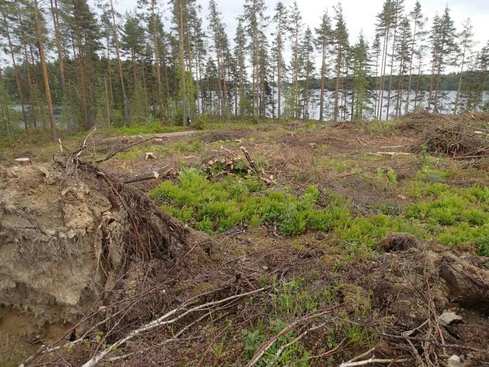 28 Huomiot: Muinaisjäännösrekisteri 2015: Asuinpaikka sijaitsee Mietinsaaren kaakkoisimmassa niemessä, laajan Temoniemen itärannalla. Ympäristö on louhikkoista, sora/hiekkapohjaista mäntykangasta.