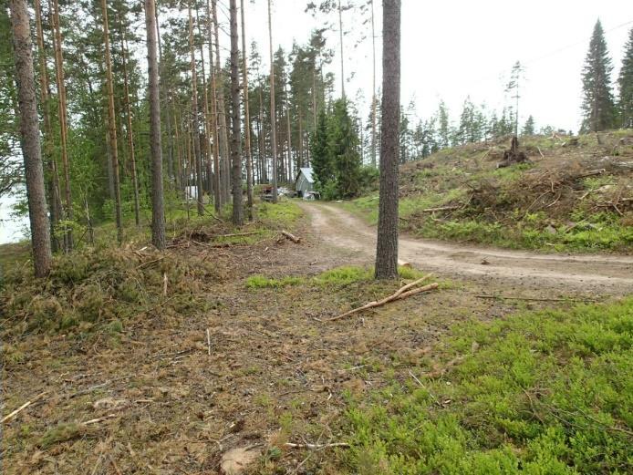 Tilanne lienee ollut tällainen jo vuonna 1998. Ei uusia havaintoja muinaisjäännösalueelta (alueen heti pohjoispuolella todettiin Salpalinjaan liittyviä puolustusrakenteita kohde 17, Temoniemi 2).