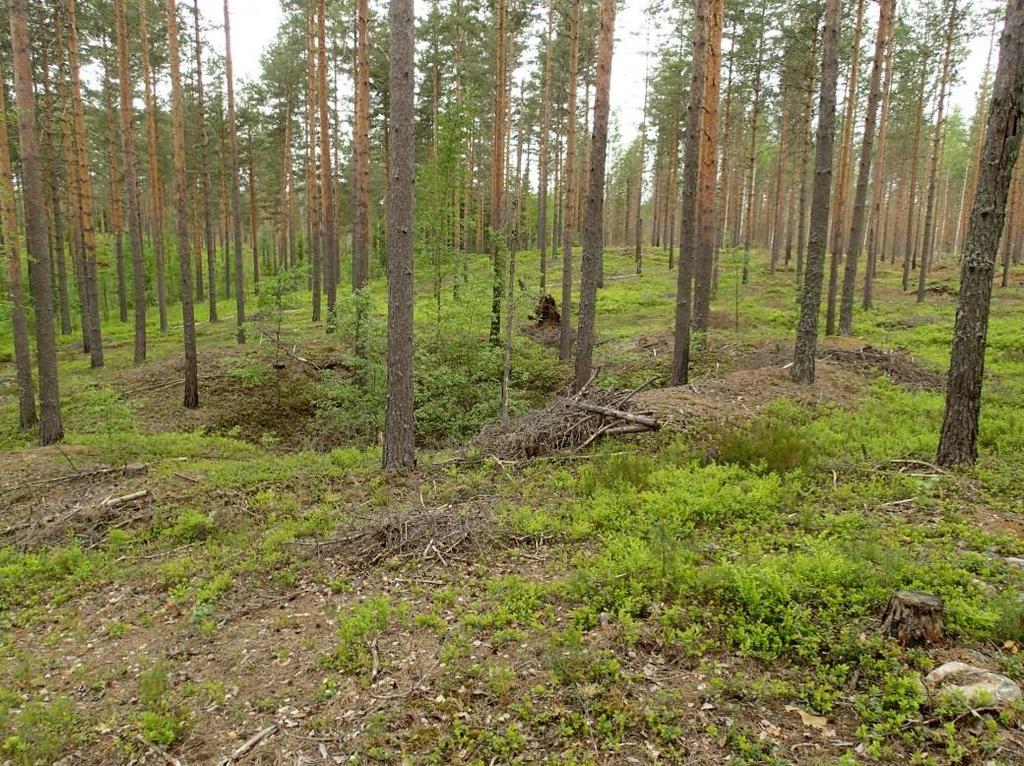 33 metrin syvyinen kuoppa. Kyseessä on aivan ilmeisesti Salpalinjaan liittyvän suuren korsun jäännökset. Vaikutus kaavaan: alueelle ei kaavaluonnoksessa ole merkitty rakentamista, joten ei vaikutusta.