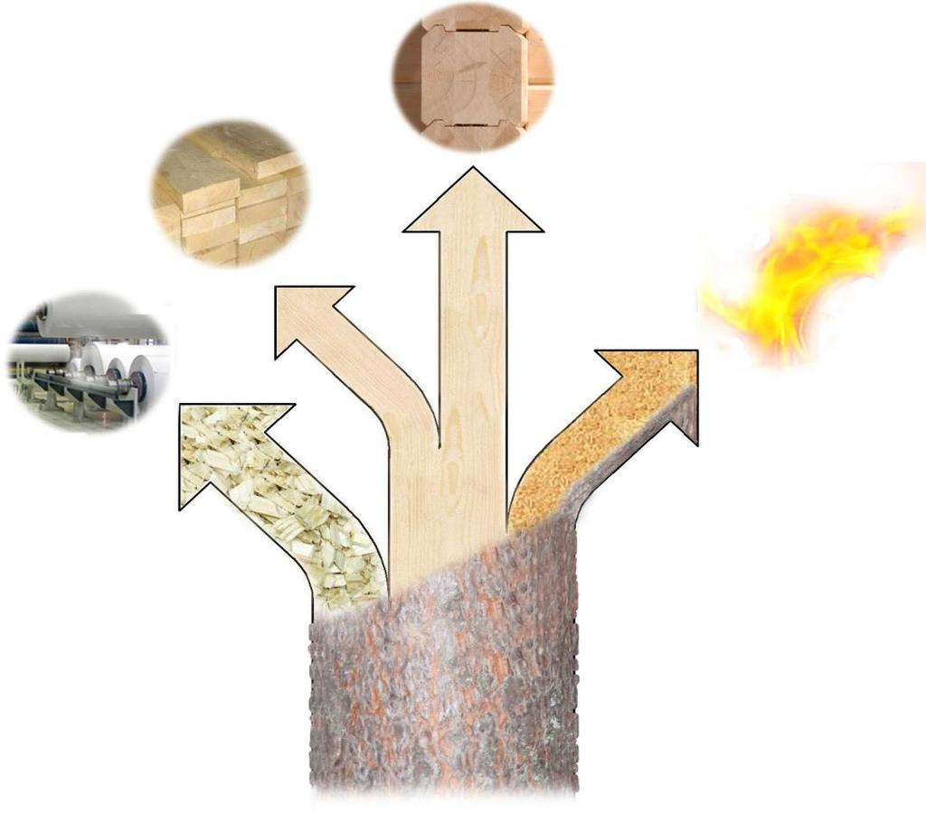 Use of pine wood in the factory 0.79 m³ for other timber 1.0 m³ for logs 1.