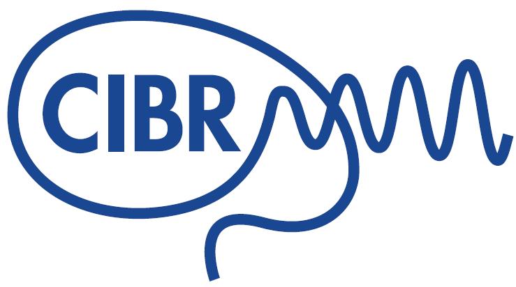 CIBR VISIO 2020 kehitetään huipputason aivomittausympäristöä kliiniset tarpeet huomioiden yhteistyössä eri käyttäjäryhmien kanssa: yliopisto, sairaalat, JAMK, yksityiset