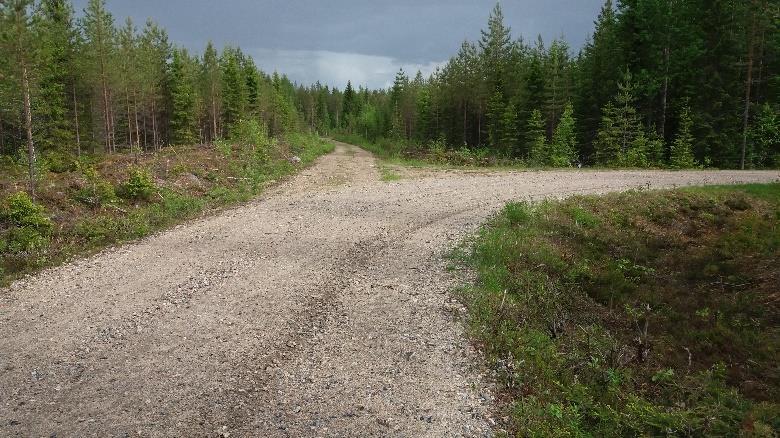 haalistunut sininen vyö, mahdollisesti polkujuoksun merkkejä.