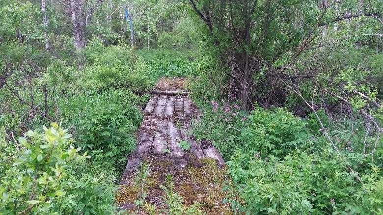 Metsäautotien päätesilmukan kohdalla on tie