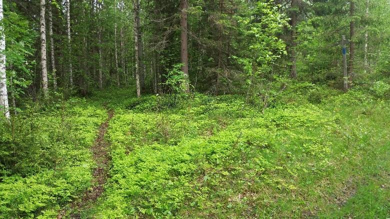 tilatietä oikealle alamäkeen.