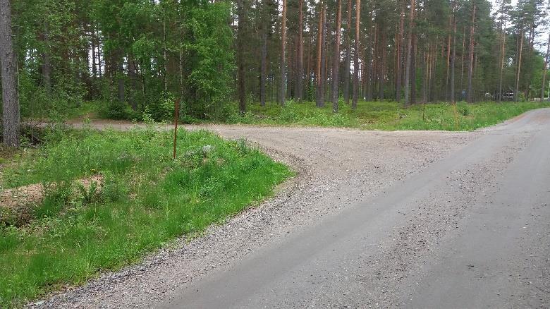 Tie jatkuu oikeaa haaraa radan suuntaisena 250m, vieressä kulkee