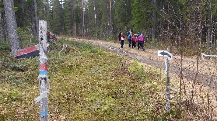 Kolilta on yhteys erittäin suositun Herajärven kierroksen kautta Kolin polulle Kontiolahden Uuroon ja edelleen Jaamankankaan reittejä Joensuun keskustaan.