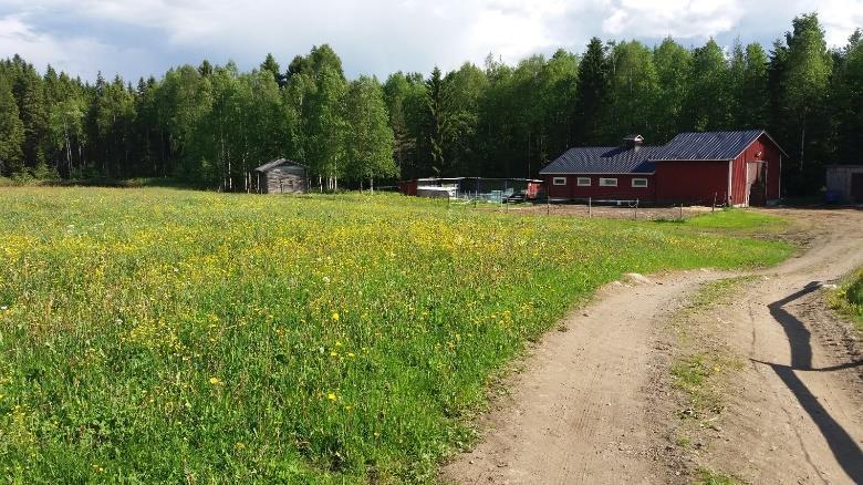 KUVAUS: UKK-REITTI etelään: Maakuntarajalla 170km Joensuusta, 53km Nurmeksesta, 60km