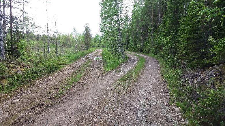 Virallinen UKK-reitti kiertää oikealta aseman ohi, seuraavan pikkutien varressa