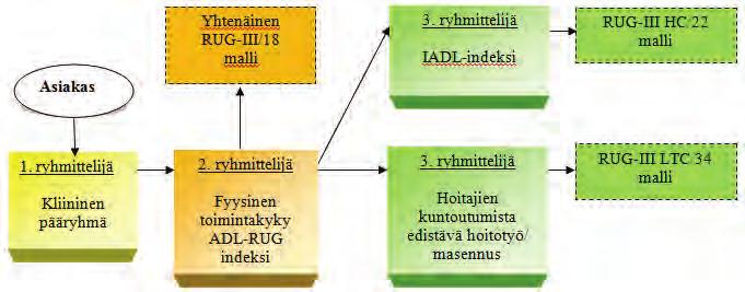 Kuvio 1. RUG-III alaryhmien ryhmittelijät Ensimmäinen ryhmittelijä Kaikissa kolmessa RUG-luokituksessa (RUG-III HC/22, RUG-III LTC/34, yhtenäinen RUG-III/18) on seitsemän kliinistä pääluokkaa: 1.