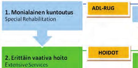 Liitteet PÄÄLUOKAT JAKOPERUSTE ALARYHMÄT ¹ ² ¹ ² ¹ ² ¹ ² ¹ ² ¹ ² ¹ ² ¹ ² ¹ ² * ei masennusta ** masennus ¹ ei kuntoutumista edistävää hoitotyötä