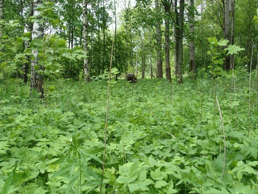 1 Espoo Karhusuo Ylämyllyntie 7