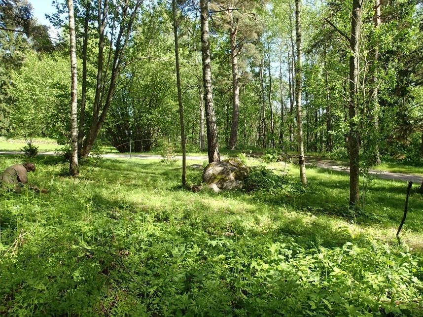 jaossa Solkullan asuinpaikkaa mahdollisesti ehjänä vielä