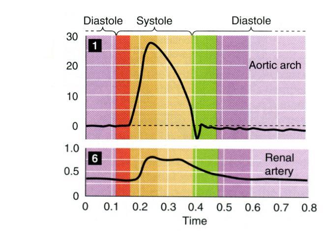 1 Sydän sysää liikkeelle virtausaallon Sydämen ejektiovaiheessa virtaus aortan kaaressa on voimakasta (jopa 30 l/min) virtaus