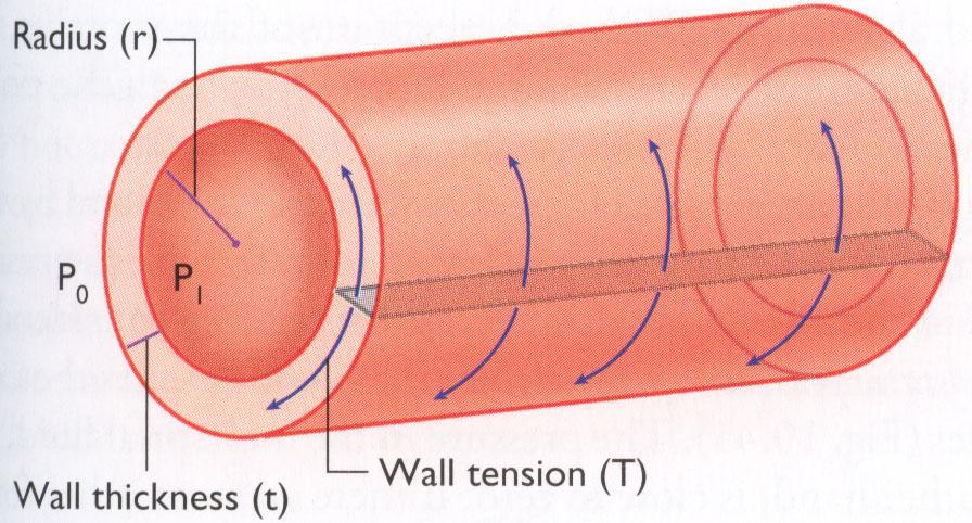 (de) LAPLACEN LAKI T = P x r kuvaa seinämäjännitystä T = onton sylinterin seinämän jännitys (wall tension); P = transmuraalipaine (paine sylinterin sisällä paine ulkopuolella); r = säde Suonten
