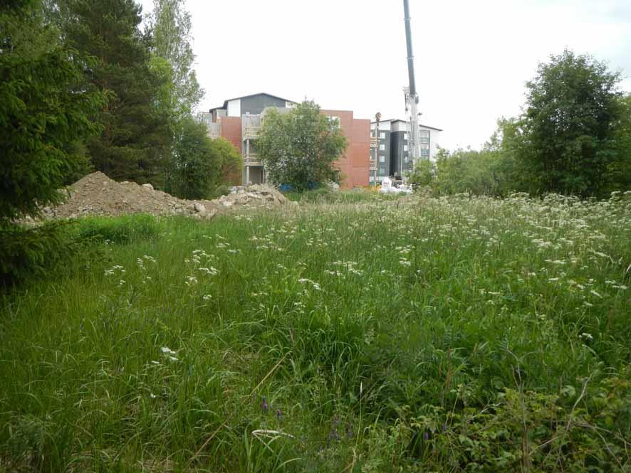 Asemakaava-alueista läntisempi sijaitsee aivan Tampere Toijala -rautatien varressa. Alue on pääosin joutomaana olevaa ryteikköä ja heinää kasvavaa vanhaa peltoa.