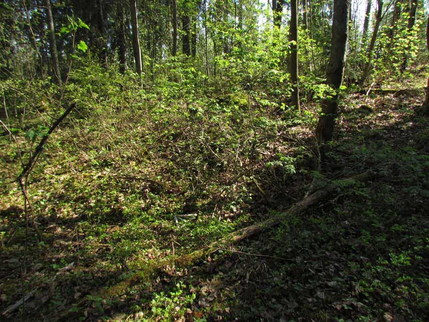 Rakenne A : Suorakaiteen muotoinen, vallillinen kuopanne, jonka pituus on 3 metriä ja leveys 2 metriä. Kuopanteen syvyys on 0,6 metriä.
