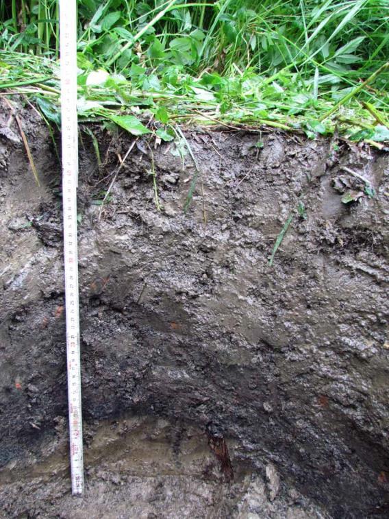 (Kuva: Lempäälä tarkkuusinventointi 2016: 31) KK4: 0-5 cm turve 5-10 cm harmaa savi 10-30 cm ruskea hiekansekainen savi