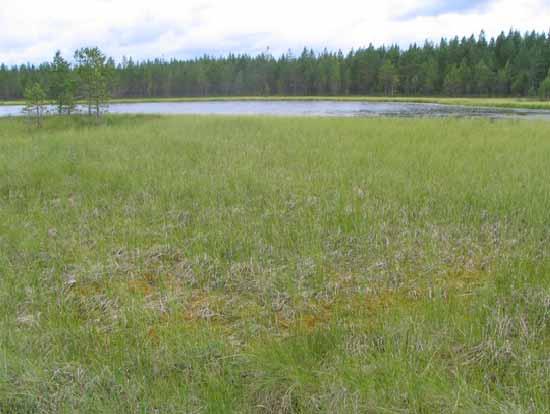 sararäme ojikko.