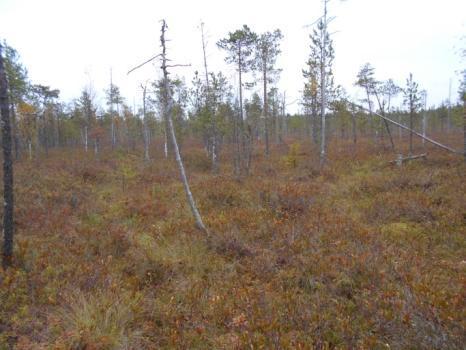 Siliänkivennevan vähäpuustoista rämettä (ylävas.) ja Saunasaaren kankaaseen rajautuvaa rämettä (yläoik.). Näkymä Valkeisnevalla (alavas.). Arvokas ja luonnontilaisen kaltainen Valkeisnevan suoalue on merkitty Pohjois-Pohjanmaan 1.