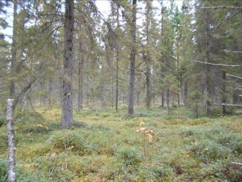 kaakkoispuolella (ylävas.