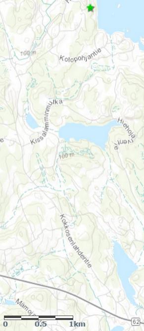 Kuusi sijaitsee mäen rinteessä, ja pituutensa takia sen huippu on korkeammalla kuin mäen päällä olevat kuuset.