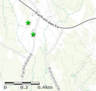 Pihlajassa kasvaa muutama kääpä, ja sen rungossa ja tyvessä on koloja.
